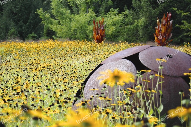 Summer Meadow Art Field Yellow