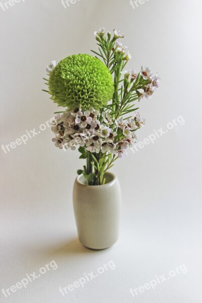 Chrysanthemum China Wind Zen Flower Arrangement Free Photos