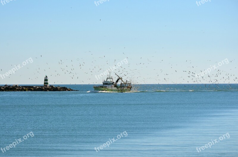 Portugal Sea Fishing Boat Fishing Fish