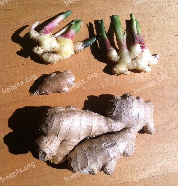 Ginger Zingiber Root Asian Spice