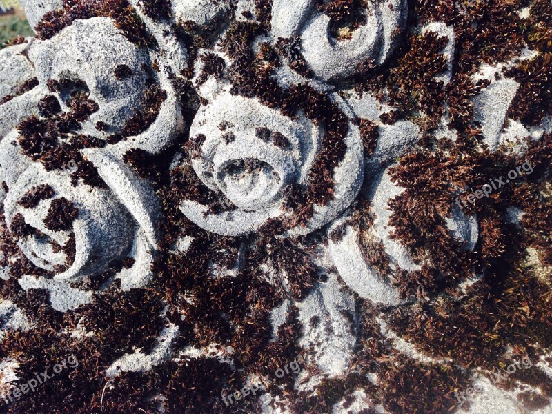 Roses Stone Cemetery Tombstone Death