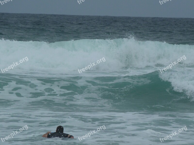 Ocean Swimming Swim Water Nature