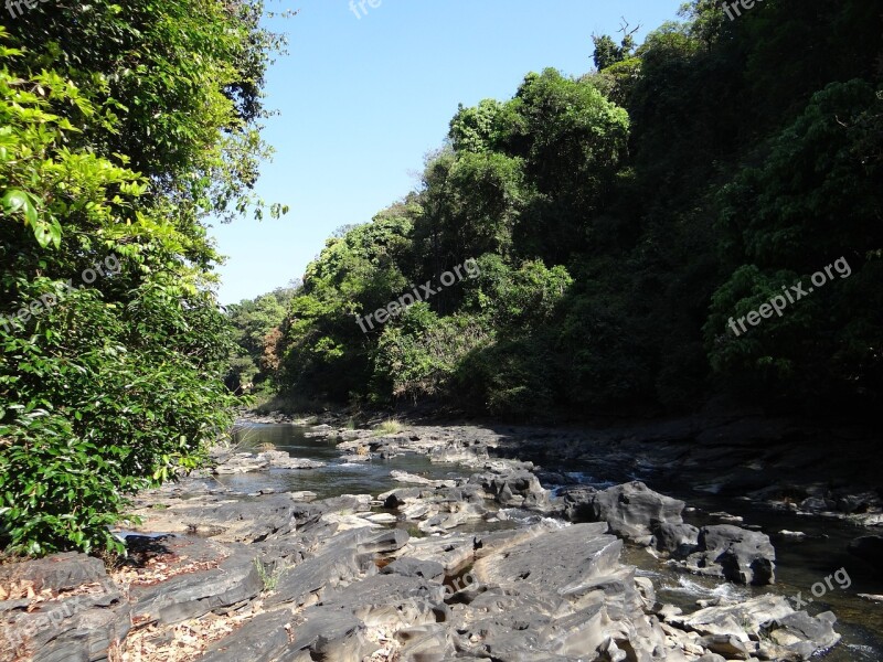 River Mandovi River Bed Water Flowing