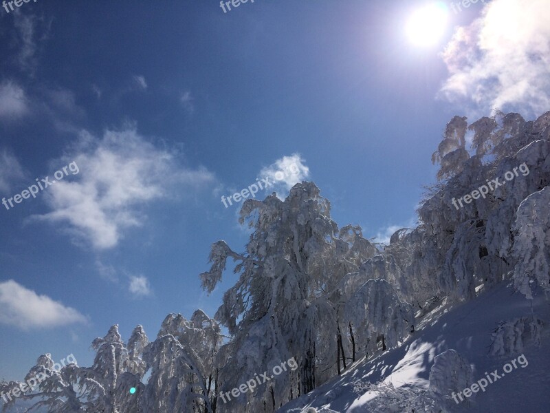 Snow Mountain White Rime Ice Free Photos