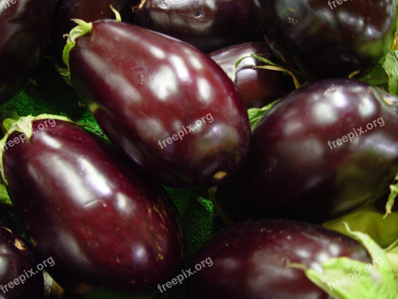 Eggplant Aubergine Solanum Melongena Raw Fresh