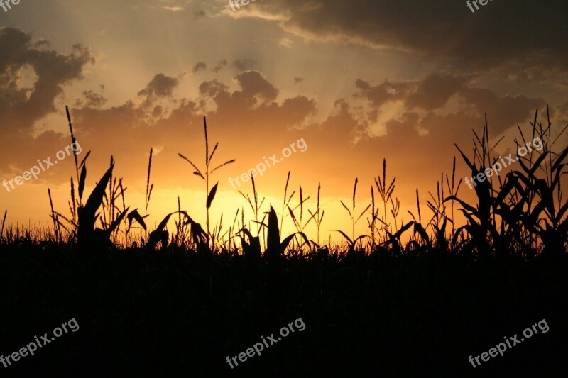 Afterglow Sun Summer Evening Sky Abendstimmung