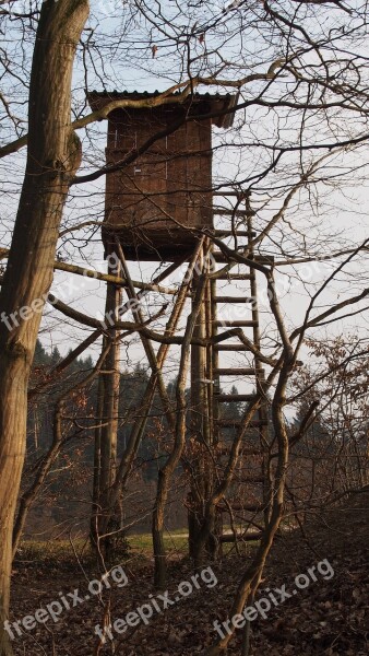 Hunter Seat Patio Hunting Wild Forest