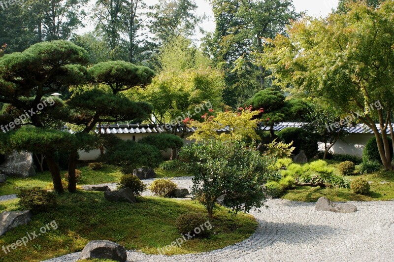 Garden Trees Plant Green Botanical Garden