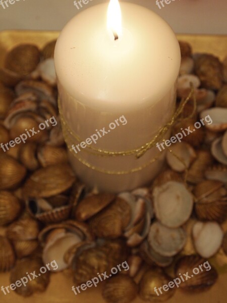 Candles Lighting Shells Decoration Environment