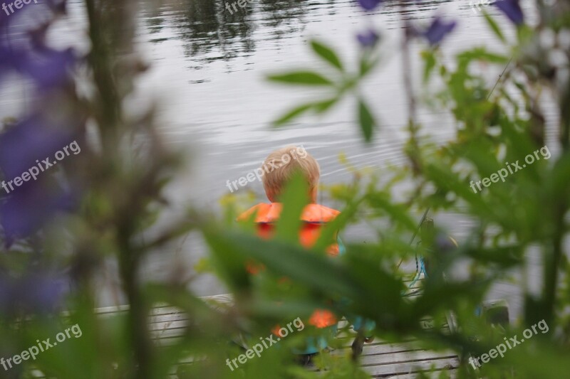 Summer Lake Fish Water Nature