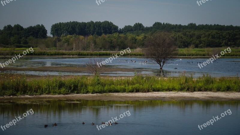 Lakes Water Nature Landscape Lake