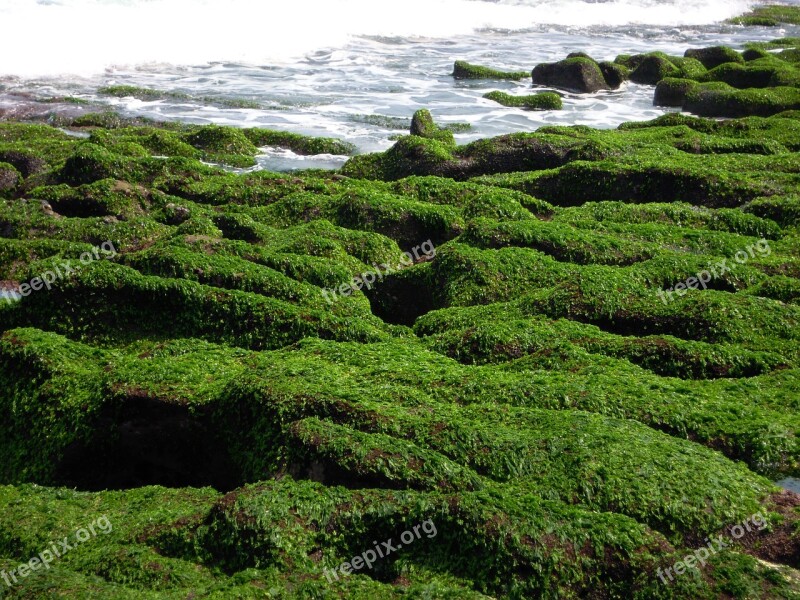 Green Stone Trough Chao Gou Sea 蝕 Gou Sea Groove Sea Weed