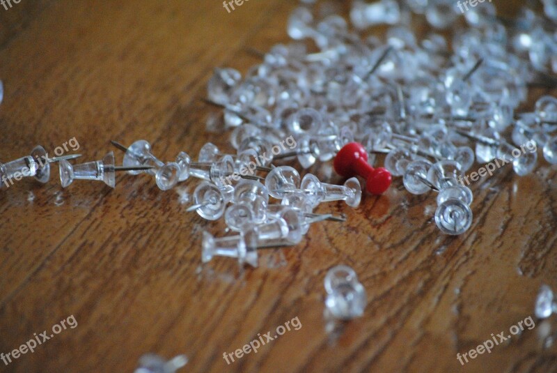 Thumbtacks White Paper Red Business