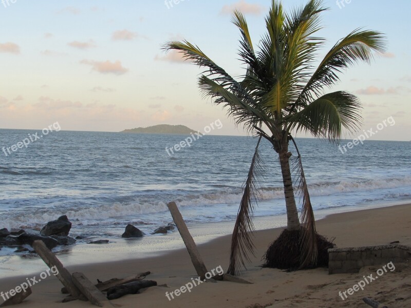 Beach Bourda Cayenne French Guiana Free Photos