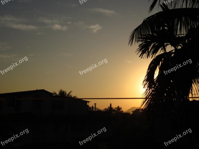 Sunset Scenery Silhouette Tree Dark