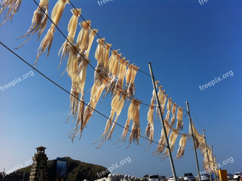 Squid Wind Fishing Free Photos