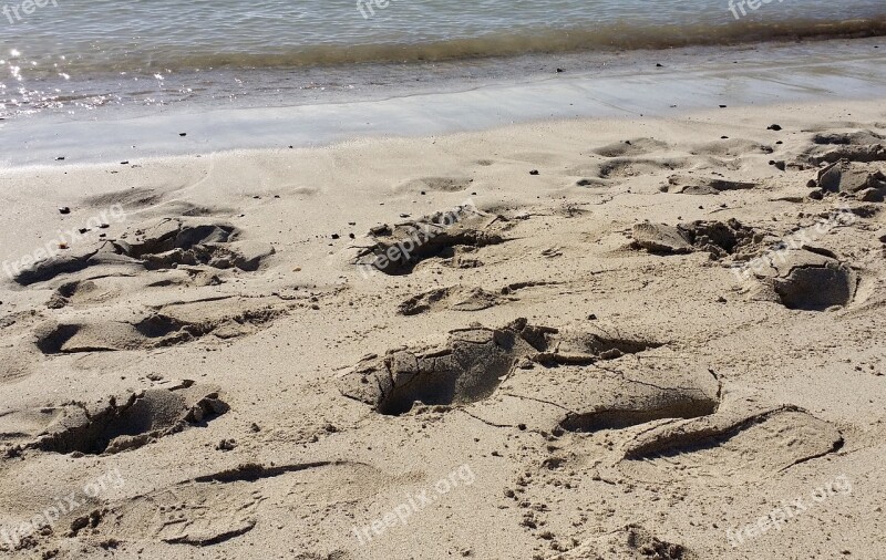 Sand Beach Traces Sea Free Photos