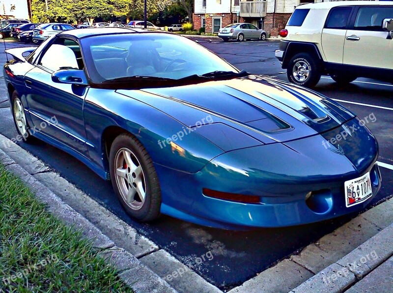 Pontiac Trans Am Blue Automotive Car