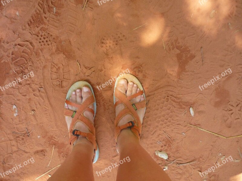 Foot Sand Ochre Sandals Free Photos