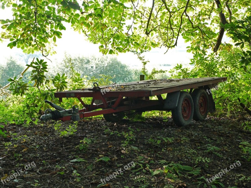 Trailer Wheels Overhanging Leaves Shadow Outdoor