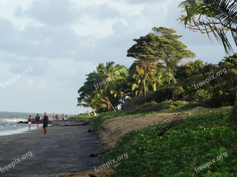 Beach Bourda Cayenne Free Photos