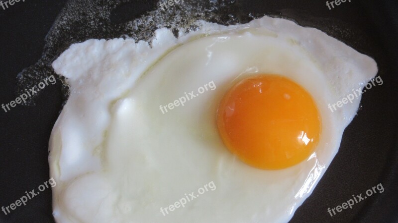 Fried Fry Pan Sizzle Egg