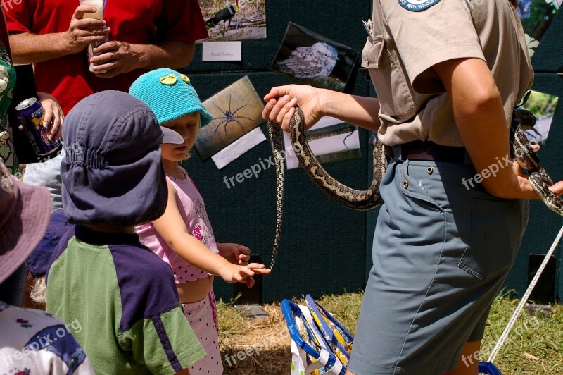 Snake Python Children Meeting Touching