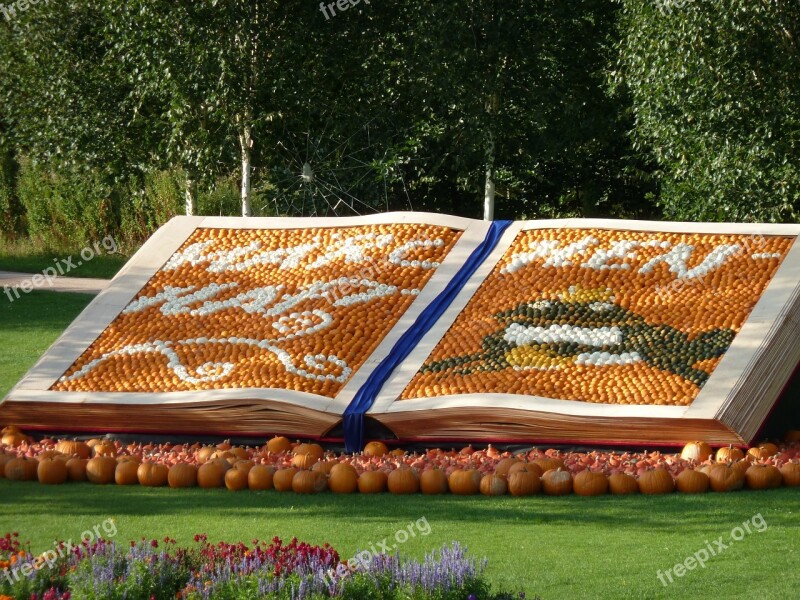 Pumpkin Decoration Autumn Harvest Squash