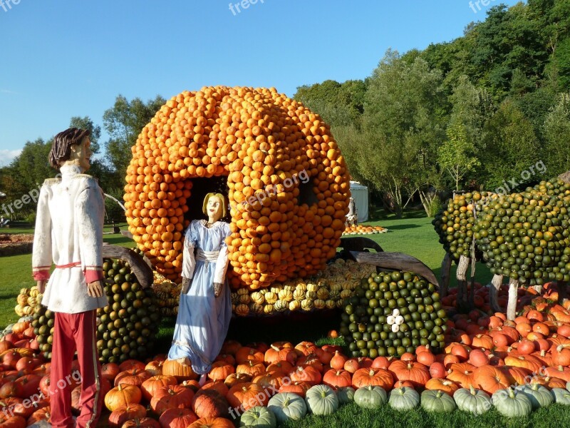 Cinderella Pumpkin Autumn Fairytale Carriage