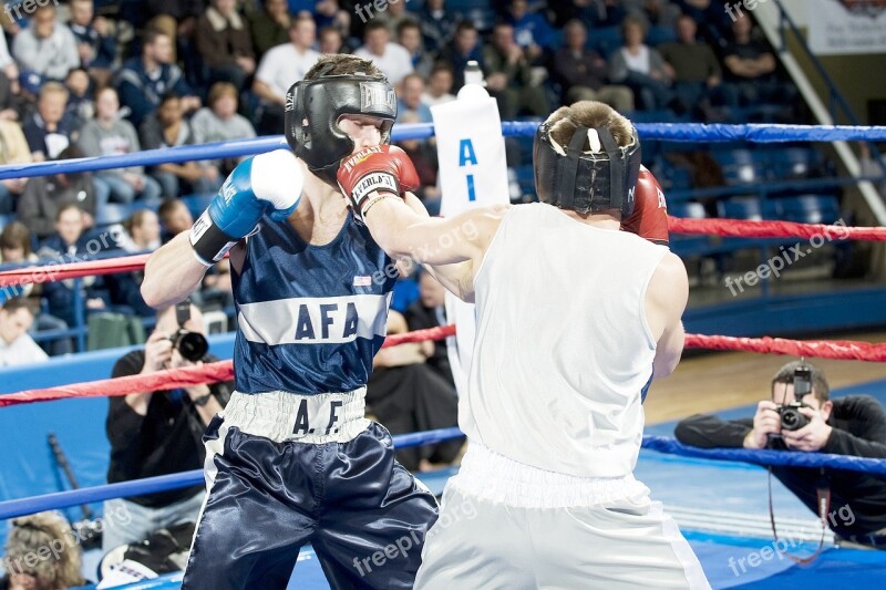 Boxers Males Boxing Sport Fitness