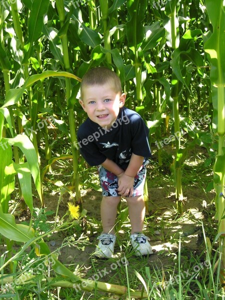 Child Camping Fun Boy Happy