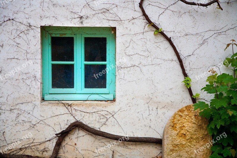 Vine Window Grapes Wine Vineyard