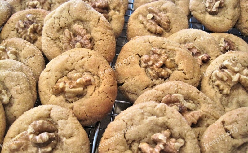 Cookies Biscuits Honey Walnut Baked Sweet