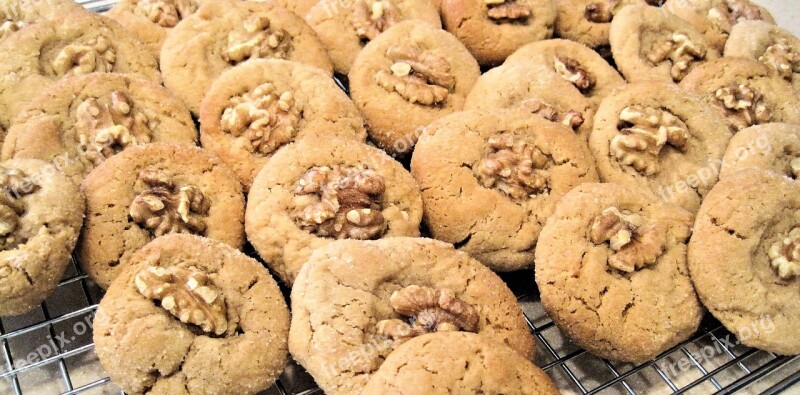 Cookies Honey Walnut Baked Sweet Free Photos