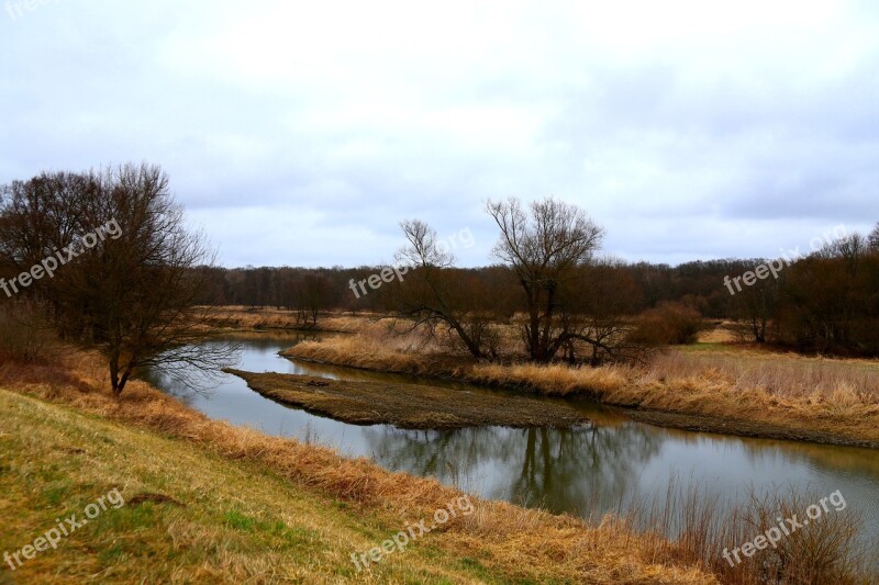 The River Odra Tree Grass Landscape Green