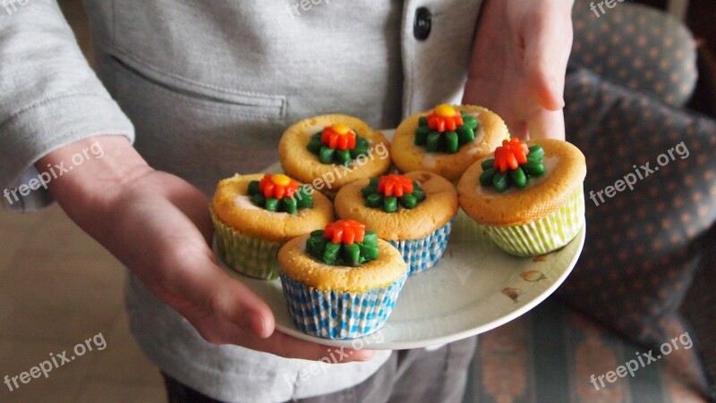 Cake Cupcake Flower Flowers Marzipan