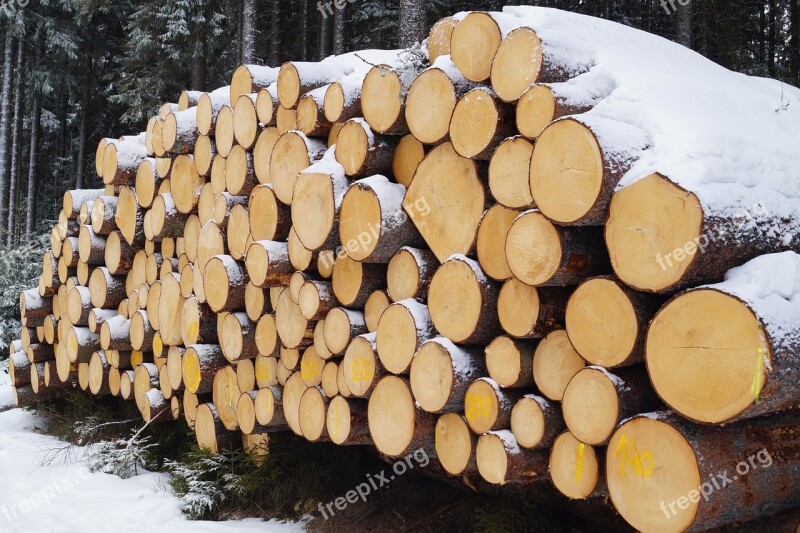 Winter Snow Wood Logs Tribes