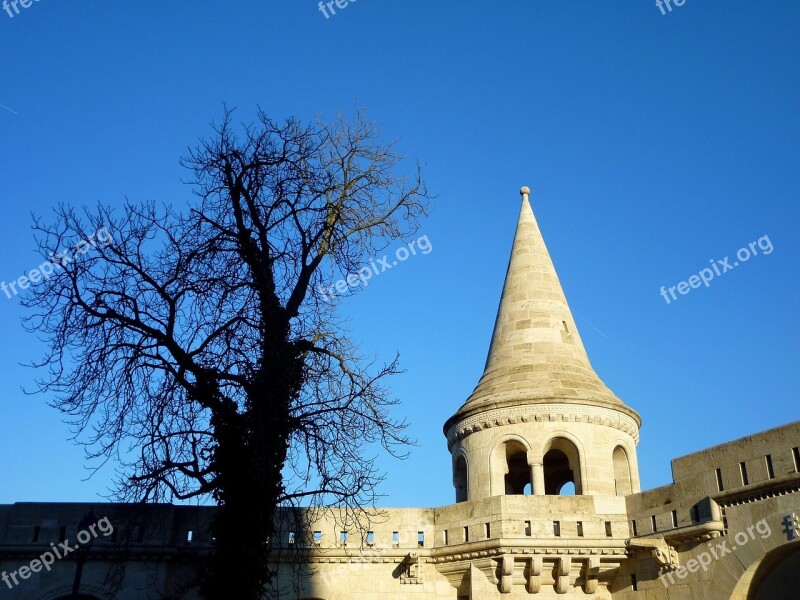 Budapest Buda Castle Area Fishermen's Bastion Wood