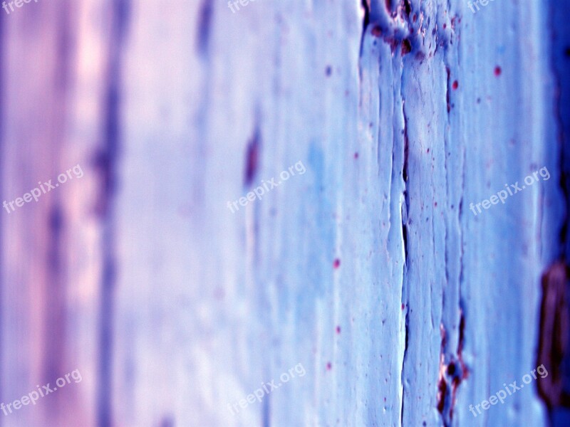 Wood Paint Wooden Texture Wall