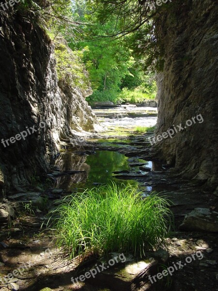 River Plant Gorge Nature Water