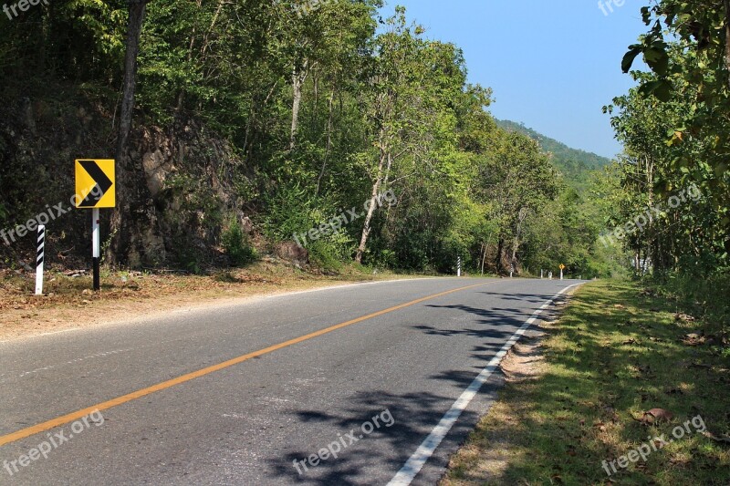 Road Way Trees Landscape Route