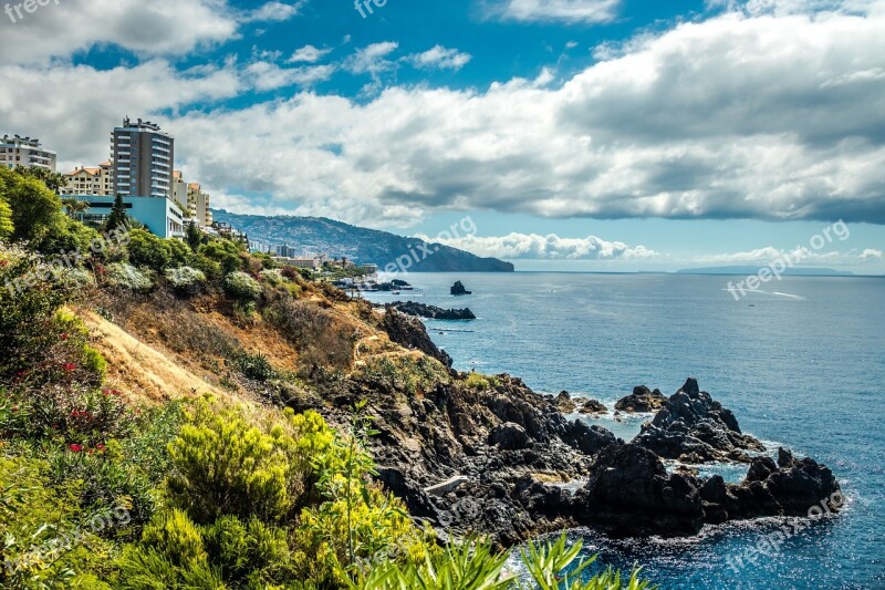 Funchal City Wood Island Costa Mar Architecture