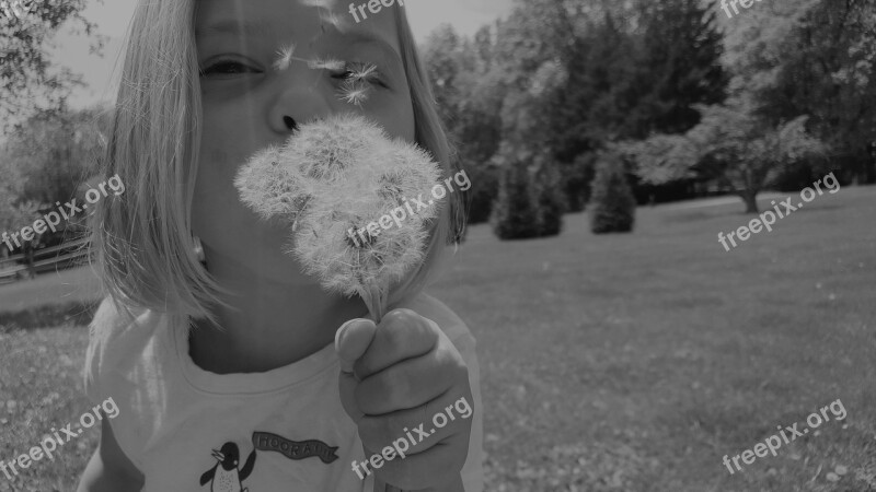 Wish Dandelion Little Girl Weed Black And White