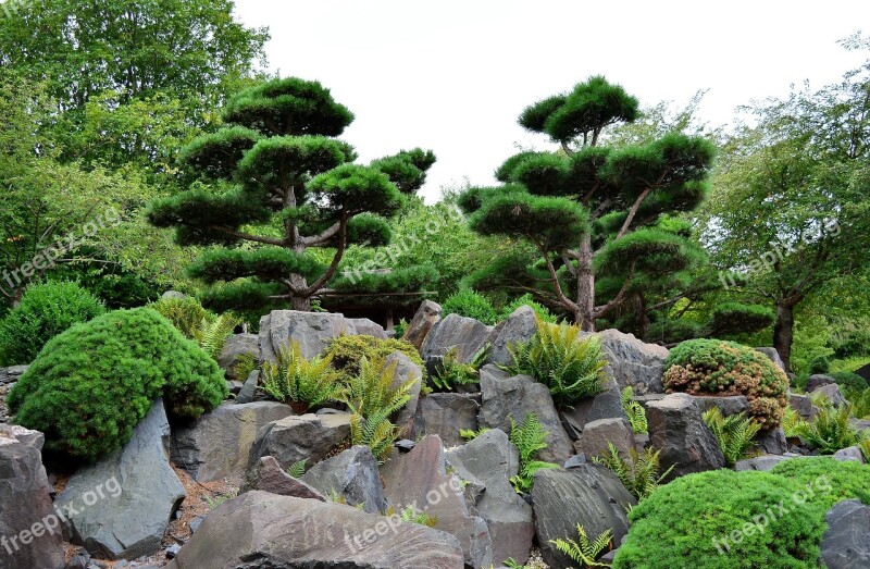 Japanese Garden Rock Thuringia Germany Free Photos