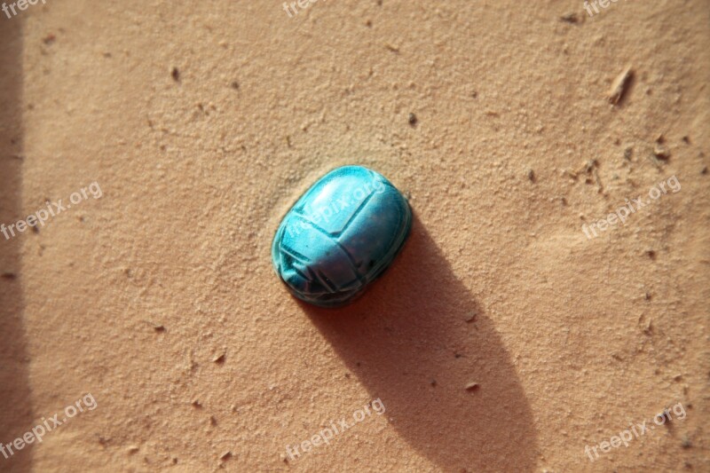 Scarab Sand Insect Pyramids Free Photos