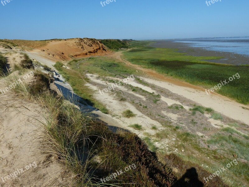 Sylt Island North Sea Beach Nature