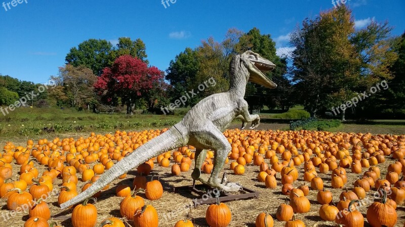 Pumpkin Dinosaur Autumn Free Photos