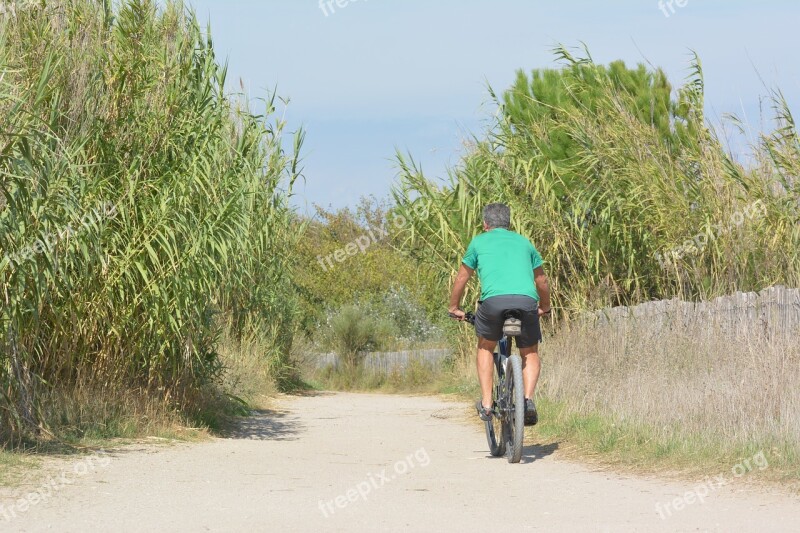 Cycle Cycling Bike Wheel Leisure