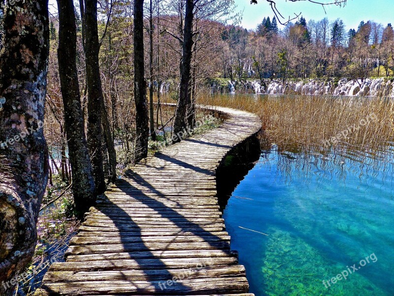 Path Walkway Wooden Wood Landscape