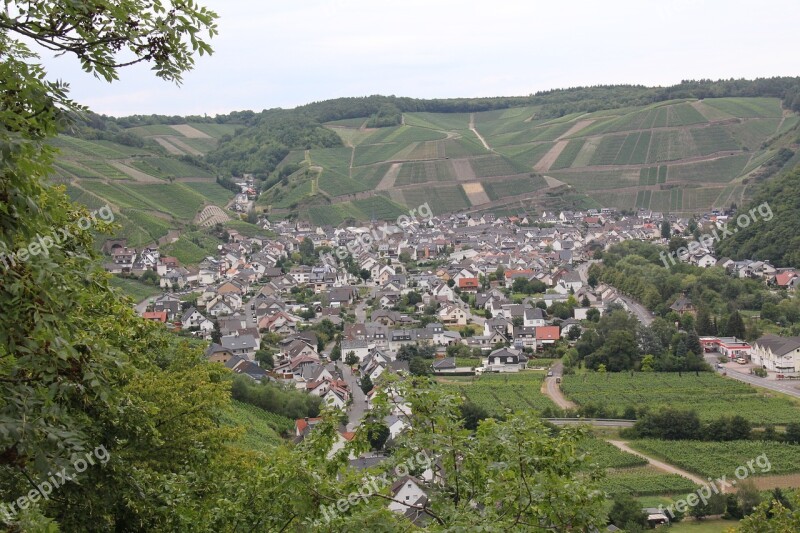 Vineyards Place Summer Sachsen Landscape